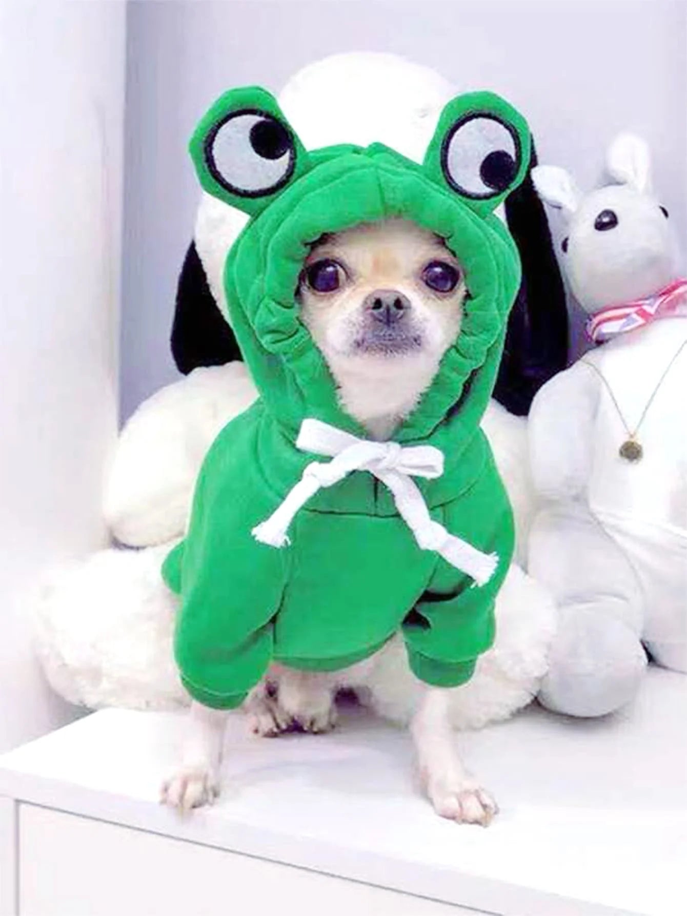 Suéter Pet Sapo Fofo para Cães de Pequeno e Médio Porte – Moletom Verde Quentinho com Design Divertido