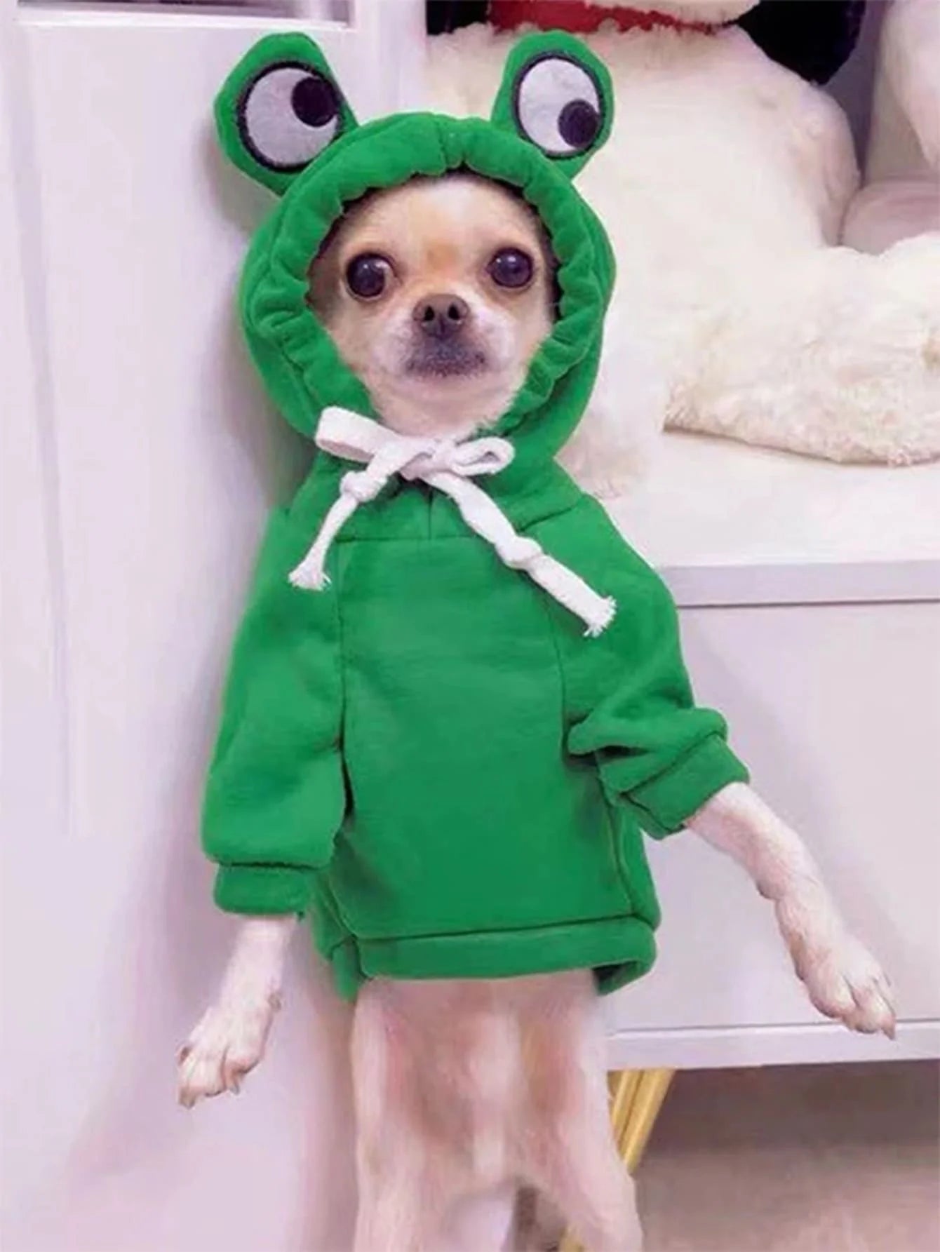 Suéter Pet Sapo Fofo para Cães de Pequeno e Médio Porte – Moletom Verde Quentinho com Design Divertido