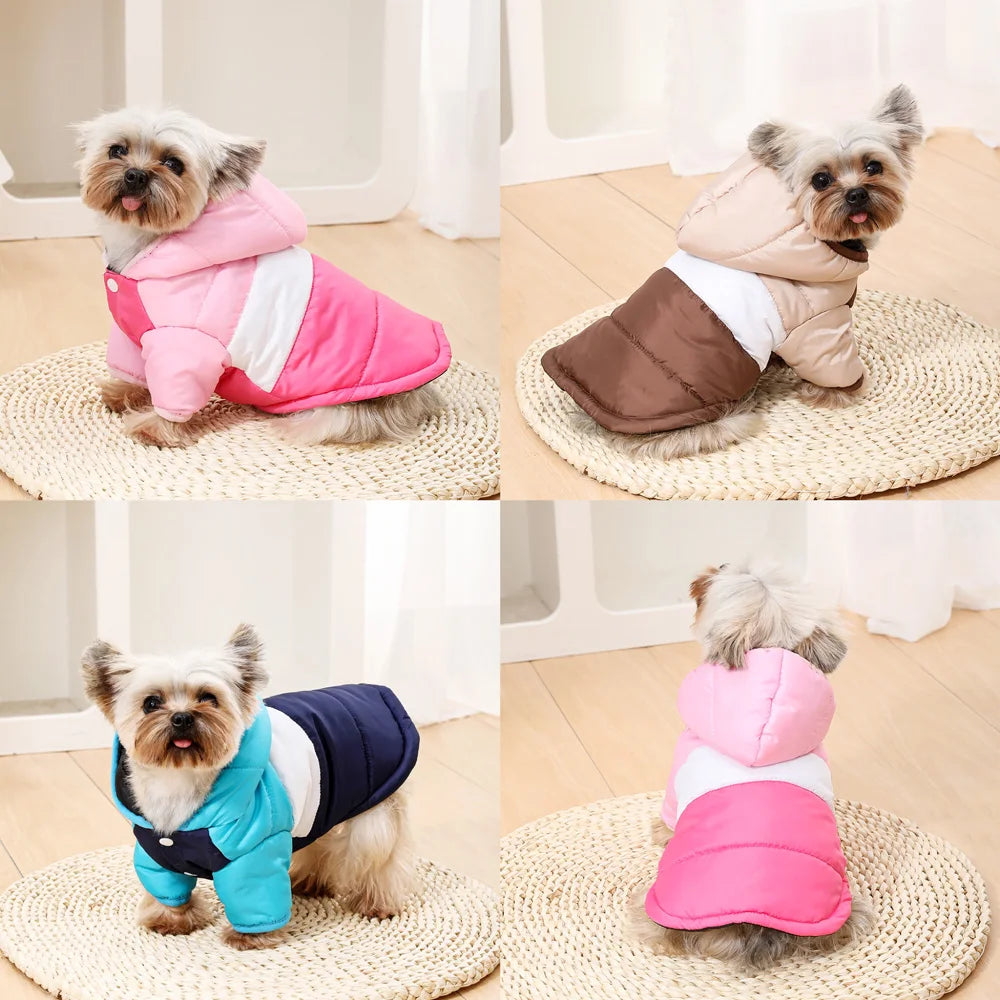 Moletom com Capuz para Cães e Gatos – Casaco de Inverno Quentinho para Pets Pequenos e Médios
