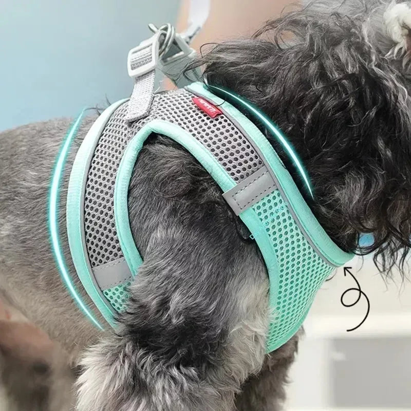 Peitoral Ajustável para Cães e Gatos com Guia – Colete Refletivo para Pets Pequenos