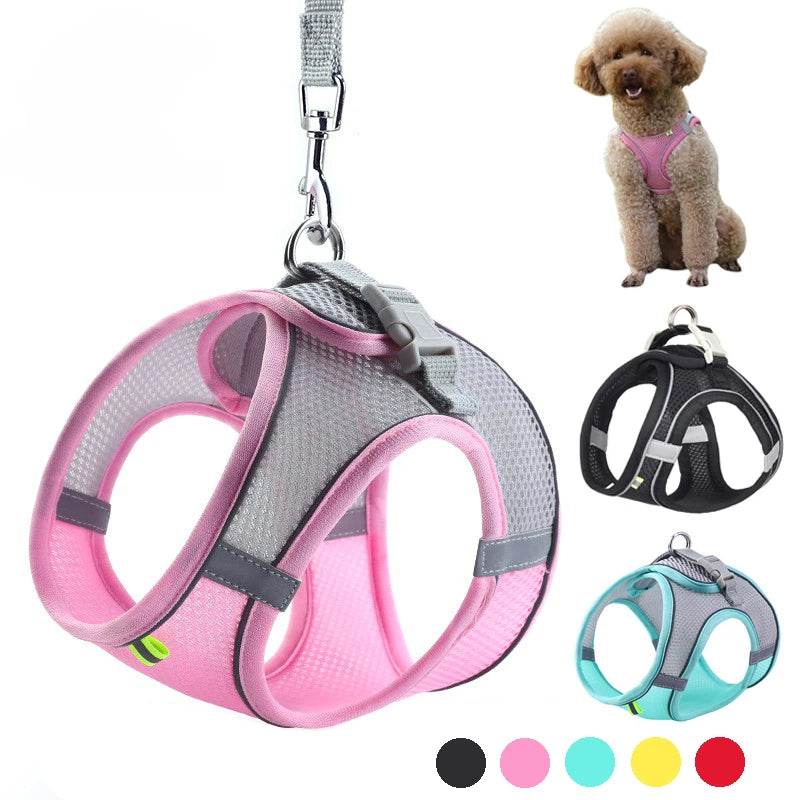 Peitoral Ajustável para Cães e Gatos com Guia – Colete Refletivo para Pets Pequenos