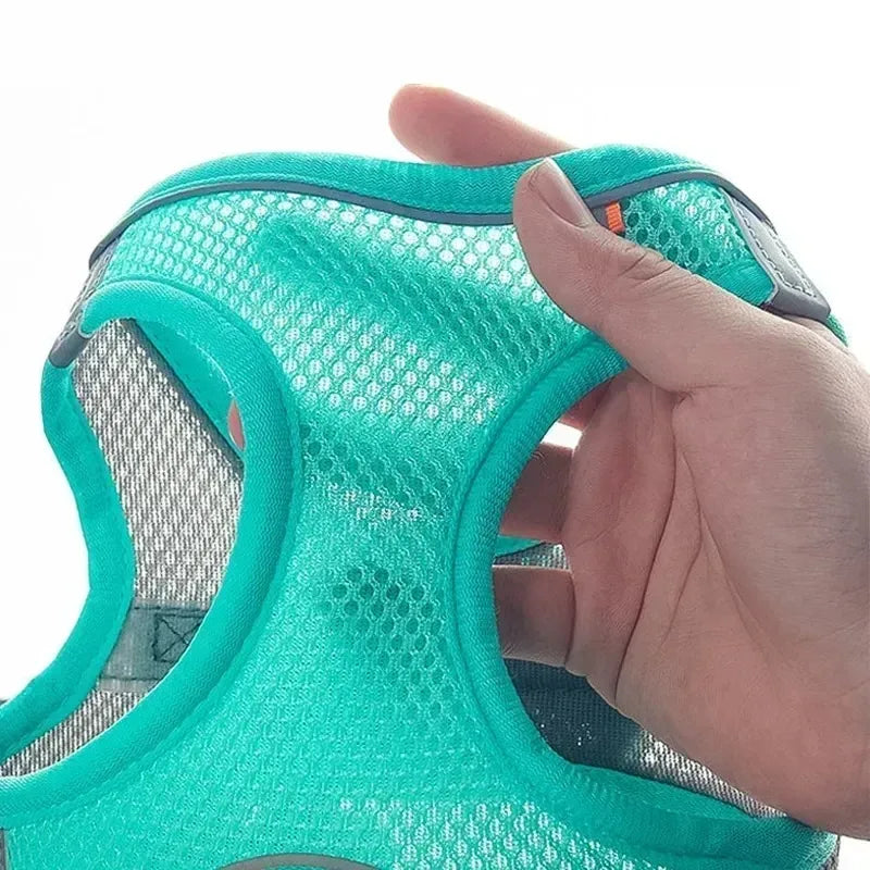 Peitoral Ajustável para Cães e Gatos com Guia – Colete Refletivo para Pets Pequenos