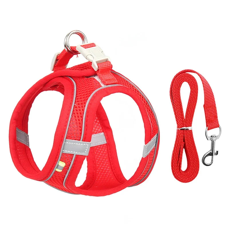 Peitoral Ajustável para Cães e Gatos com Guia – Colete Refletivo para Pets Pequenos