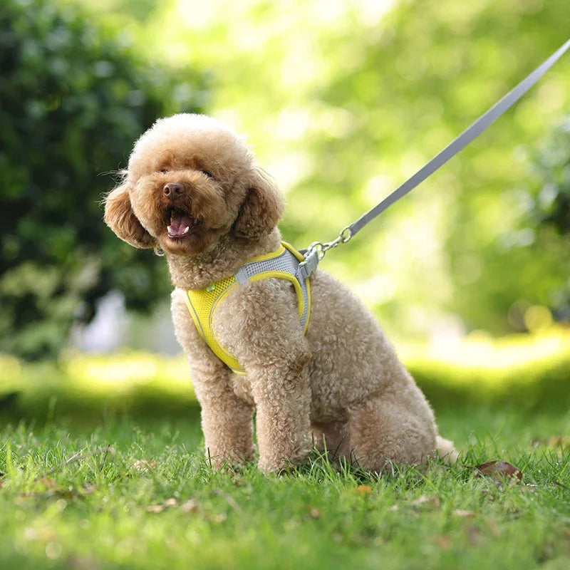 Peitoral Ajustável para Cães e Gatos com Guia – Colete Refletivo para Pets Pequenos