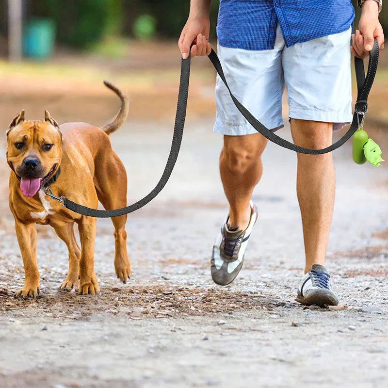 Peitoral com Guia para Cães e Gatos – Colete Ajustável e Respirável para Passeios